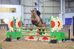 SBM_008785