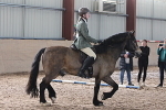 Neighfield show 17th May 2025 portfolio