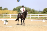 SBM_003605