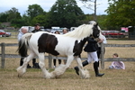 WJ6_8354