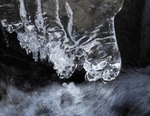 Galedffrwd, winter
