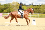 SBM_000590