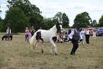 WJ6_5567