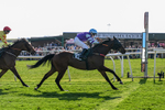 080426-Race 4-Evocative Spark-0370