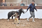 BPP_1081