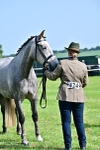 SBM_03325