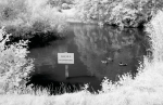Corsham Pond
