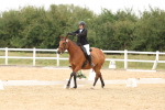 SBM_00982