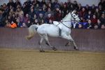 SBM_006446