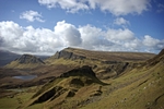 DSC04443