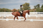 SBM_05993
