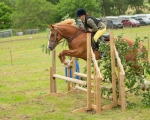 Dunblane show-475