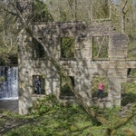 Ashworth Valley