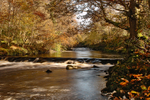 Crana river