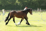 SBM_02062