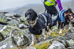 Matterdale-263