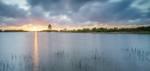Sunset at Andrews Mare