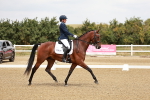 SBM_003537