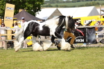 SBM_08784
