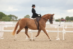 SBM_06405