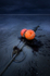 It's a Buoy