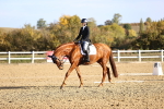 SBM_009048
