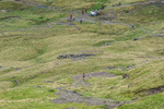 Borrowdale-1