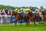 040526-Race 8-Coolree-4365