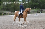 BPP_6770