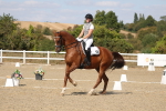 SBM_022537
