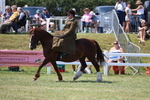 3E7A9718