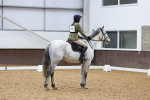 SBM_001542