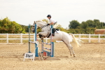 SBM_002346