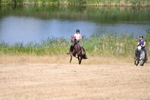 WJ6_8604