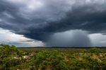 Adelaide River Downpour