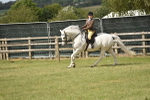 SBM_17710