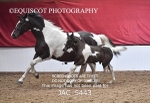JAC_5443
