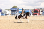 SBM_07328