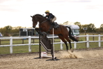 SBM_004019