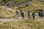 Hartsop Hop-421