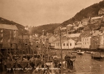 Polperro Harbour 11
