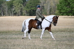 WJ7_6681