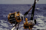 Big Game Reels.