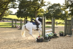 SBM_55948