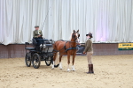 SBM_000648