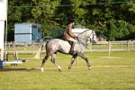 SBM_20431
