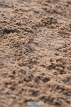 231028A-111128-00727