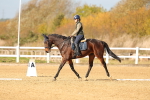 SBM_000846