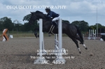 10TH JUNE 2025 - TUES SENIOR BRITISH SHOWJUMPING CAT 2 - MUIRMILL EC portfolio