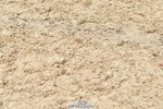 230804A-123443-02567